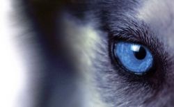 Notre zone d'activité pour ce service Installation d’interphone avec système visio